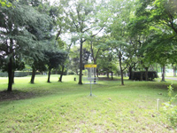 JPDGA